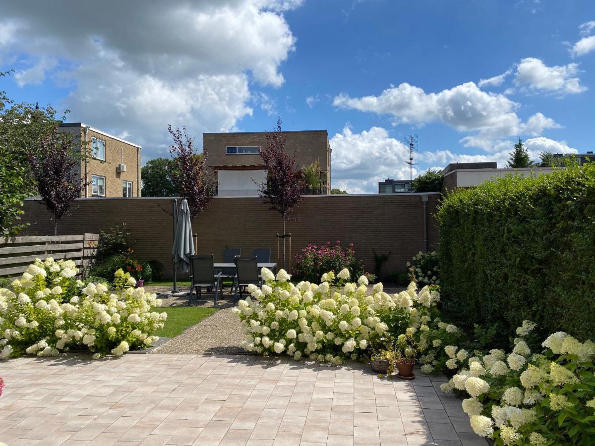 Studio Brinkstraat Hoogeveen Dış mekan fotoğraf
